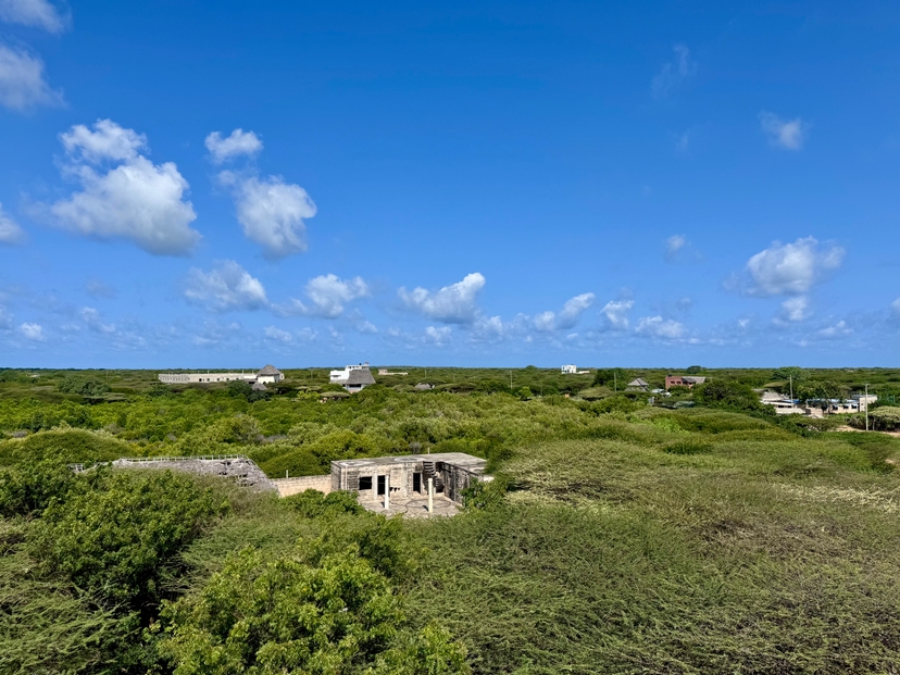 Manda Gem - Image 5